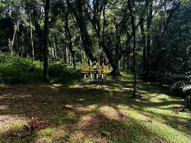 Imagem 5: Lindo terreno de 4700m² na Linha Imperial - Nova Petrópolis/RS