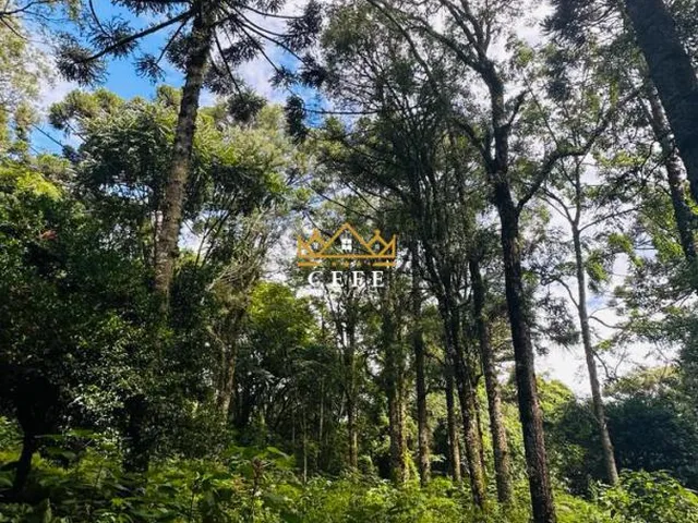 Imagem 9: Lindo terreno de 4700m² na Linha Imperial - Nova Petrópolis/RS