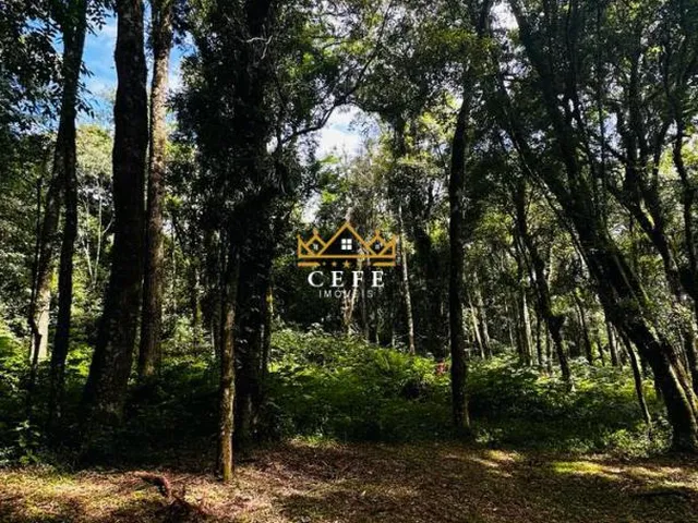 Imagem 11: Lindo terreno de 4700m² na Linha Imperial - Nova Petrópolis/RS