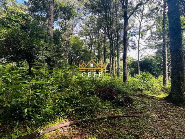 Imagem 12: Lindo terreno de 4700m² na Linha Imperial - Nova Petrópolis/RS