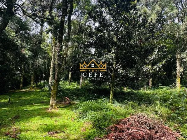 Imagem 14: Lindo terreno de 4700m² na Linha Imperial - Nova Petrópolis/RS