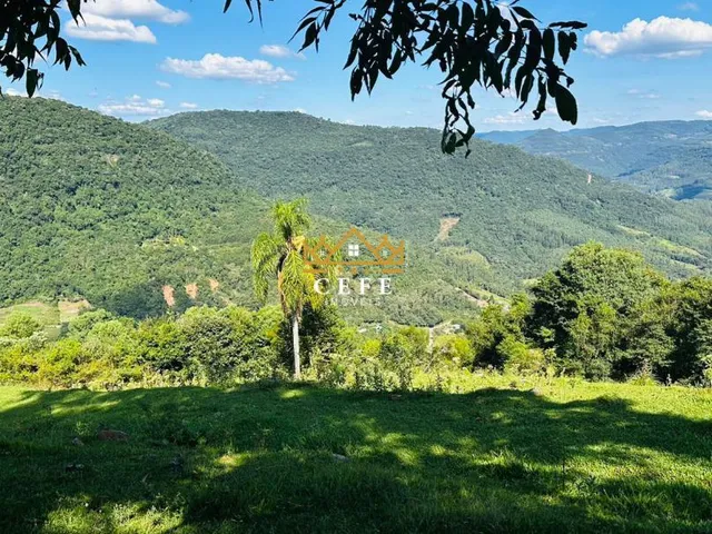 Imagem 2: Oportunidade única: Sítio à venda em Picada Café, Morro Hansen - Confira!