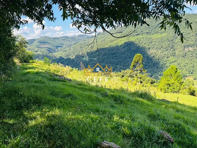 Imagem 3: Oportunidade única: Sítio à venda em Picada Café, Morro Hansen - Confira!
