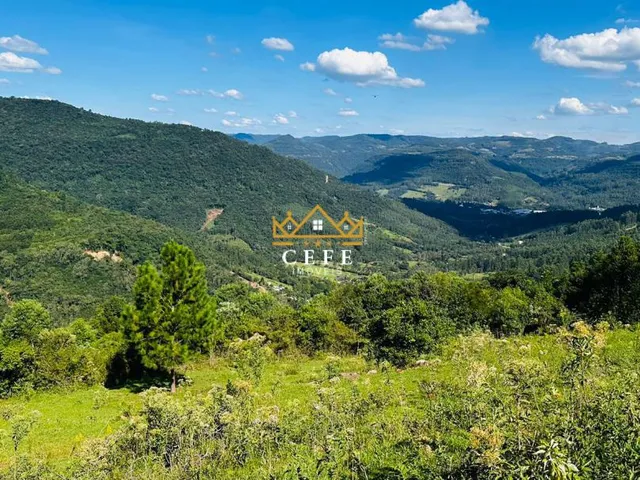 Imagem 4: Oportunidade única: Sítio à venda em Picada Café, Morro Hansen - Confira!