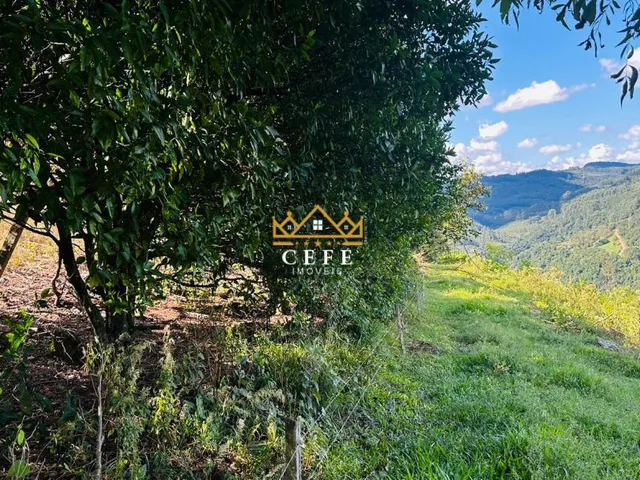 Imagem 8: Oportunidade única: Sítio à venda em Picada Café, Morro Hansen - Confira!