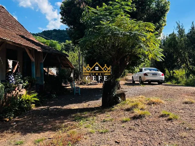 Imagem 9: Oportunidade única: Sítio à venda em Picada Café, Morro Hansen - Confira!