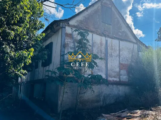 Imagem 10: Oportunidade única: Sítio à venda em Picada Café, Morro Hansen - Confira!