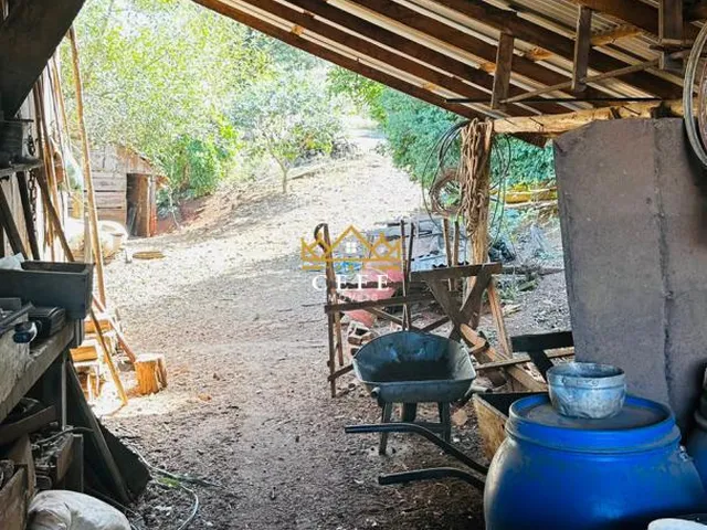 Imagem 14: Oportunidade única: Sítio à venda em Picada Café, Morro Hansen - Confira!