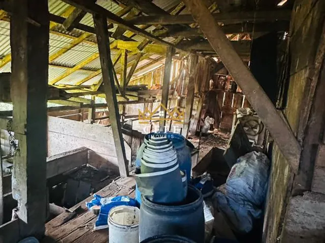 Imagem 15: Oportunidade única: Sítio à venda em Picada Café, Morro Hansen - Confira!