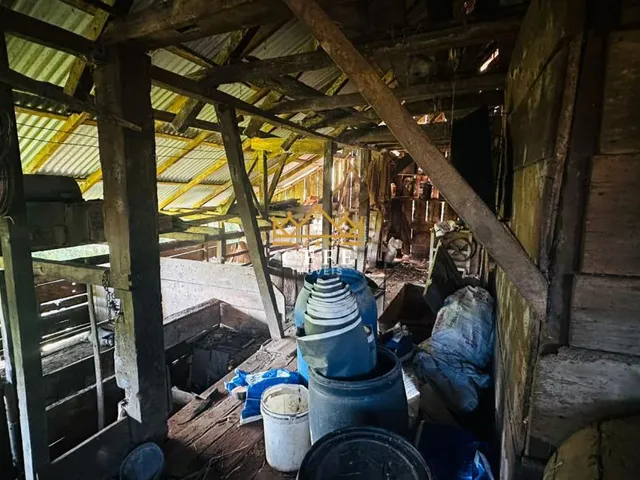 Imagem 16: Oportunidade única: Sítio à venda em Picada Café, Morro Hansen - Confira!