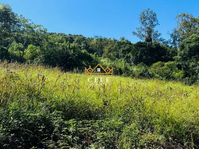 Imagem 2: Sítio em Nova Petrópolis: confira essa oferta imperdível em São Jacó!