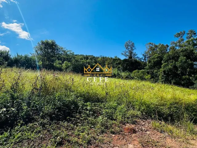Imagem 4: Sítio em Nova Petrópolis: confira essa oferta imperdível em São Jacó!