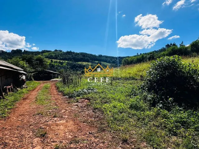 Imagem 5: Sítio em Nova Petrópolis: confira essa oferta imperdível em São Jacó!