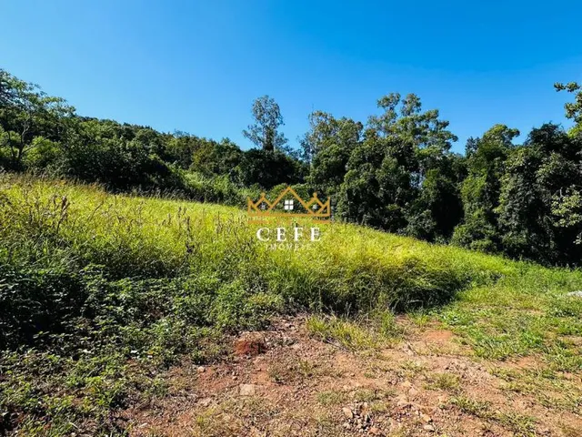 Imagem 7: Sítio em Nova Petrópolis: confira essa oferta imperdível em São Jacó!