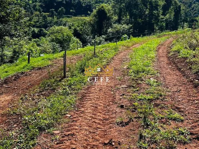 Imagem 8: Sítio em Nova Petrópolis: confira essa oferta imperdível em São Jacó!