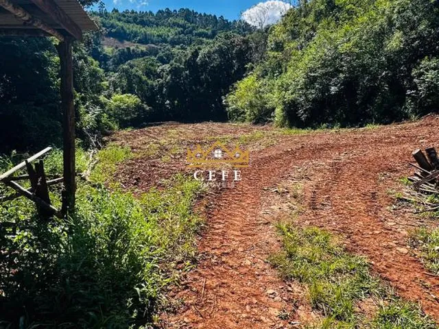 Imagem 16: Sítio em Nova Petrópolis: confira essa oferta imperdível em São Jacó!