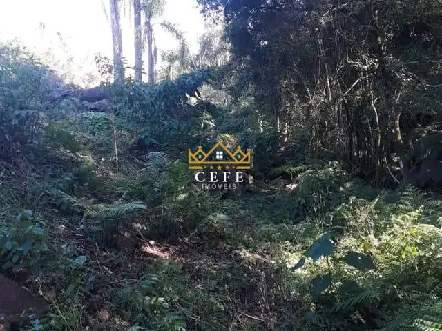 Imagem 3: Sítio na Nova Renânia em Santa maria do Herval/RS - Serra Gaúcha