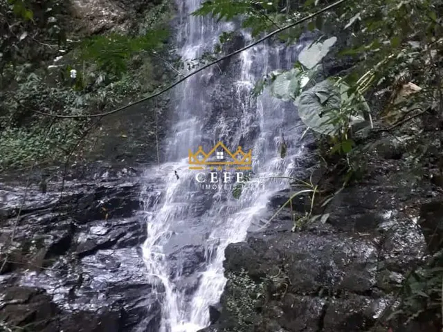 Imagem 5: Sítio na Nova Renânia em Santa maria do Herval/RS - Serra Gaúcha