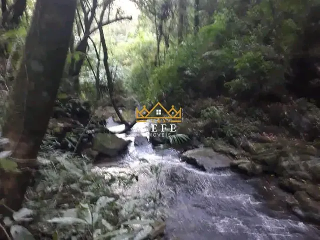 Imagem 6: Sítio na Nova Renânia em Santa maria do Herval/RS - Serra Gaúcha
