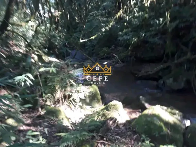 Imagem 7: Sítio na Nova Renânia em Santa maria do Herval/RS - Serra Gaúcha