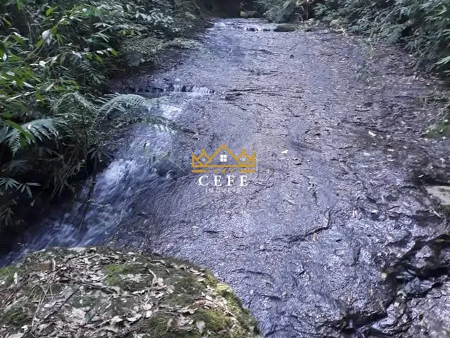 Imagem 8: Sítio na Nova Renânia em Santa maria do Herval/RS - Serra Gaúcha