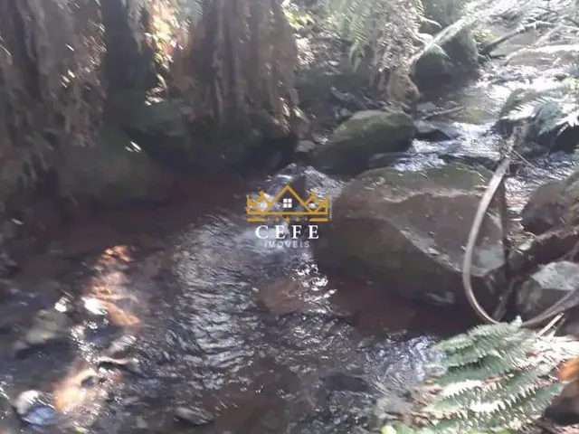 Imagem 9: Sítio na Nova Renânia em Santa maria do Herval/RS - Serra Gaúcha