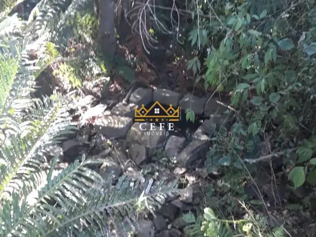Imagem 11: Sítio na Nova Renânia em Santa maria do Herval/RS - Serra Gaúcha