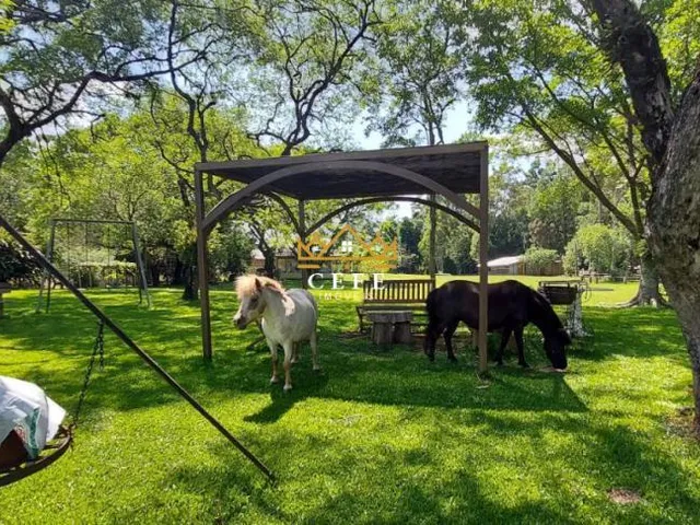 Imagem 5: Sítio com vista panorâmica em Taquara/RS - no bairro Padilha