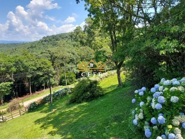 Imagem 8: Sítio com vista panorâmica em Taquara/RS - no bairro Padilha