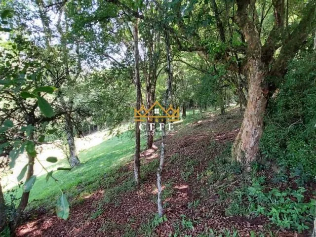 Imagem 9: Sítio com vista panorâmica em Taquara/RS - no bairro Padilha