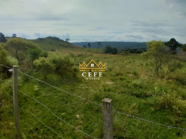 Imagem 2: Oportunidade única: Sítio à venda em São Francisco de Paula/RS