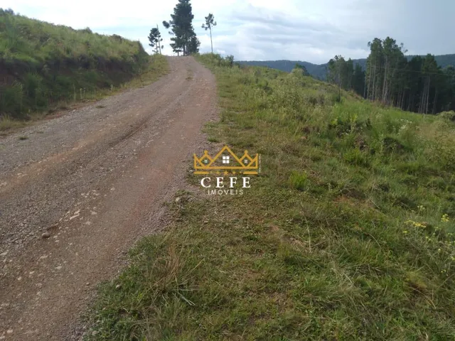 Imagem 6: Oportunidade única: Sítio à venda em São Francisco de Paula/RS