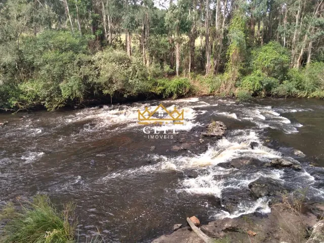 Imagem 8: Oportunidade única: Sítio à venda em São Francisco de Paula/RS