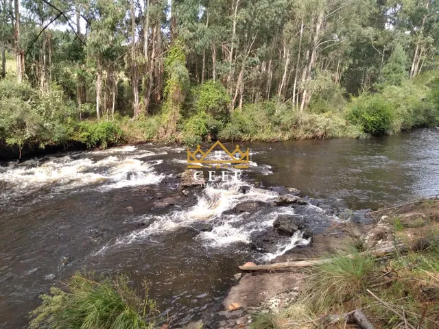 Imagem 9: Oportunidade única: Sítio à venda em São Francisco de Paula/RS