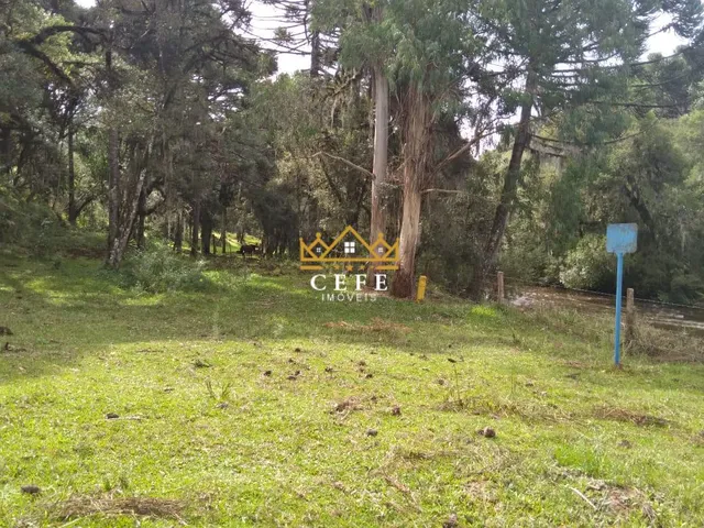 Imagem 13: Oportunidade única: Sítio à venda em São Francisco de Paula/RS