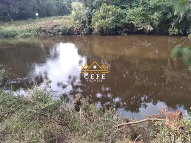 Imagem 14: Oportunidade única: Sítio à venda em São Francisco de Paula/RS