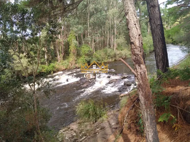 Imagem 15: Oportunidade única: Sítio à venda em São Francisco de Paula/RS