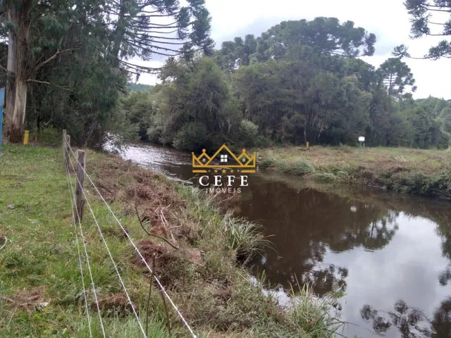 Imagem 16: Oportunidade única: Sítio à venda em São Francisco de Paula/RS