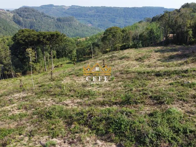 Imagem: Linda área de terra em Gramado/RS