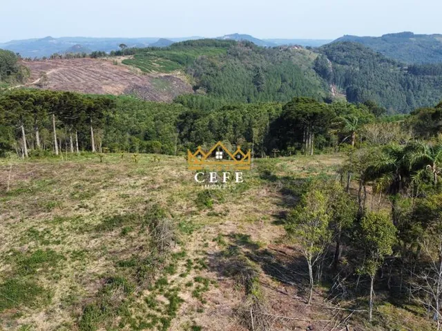 Imagem 2: Linda área de terra em Gramado/RS
