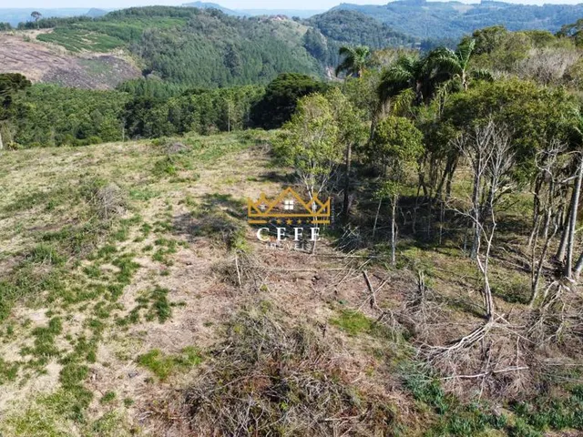 Imagem 4: Linda área de terra em Gramado/RS