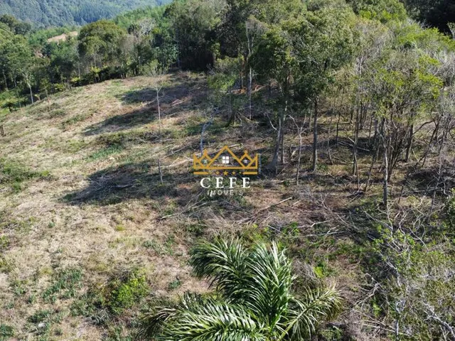 Imagem 6: Linda área de terra em Gramado/RS