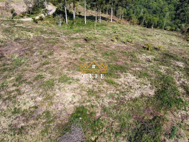 Imagem 10: Linda área de terra em Gramado/RS