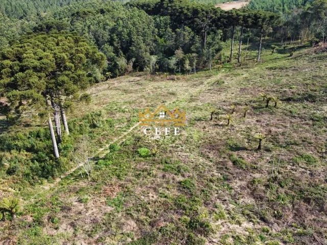 Imagem 12: Linda área de terra em Gramado/RS