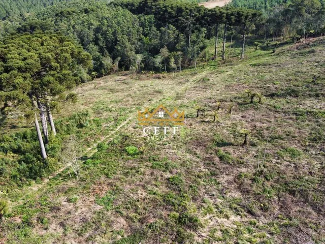 Imagem 13: Linda área de terra em Gramado/RS
