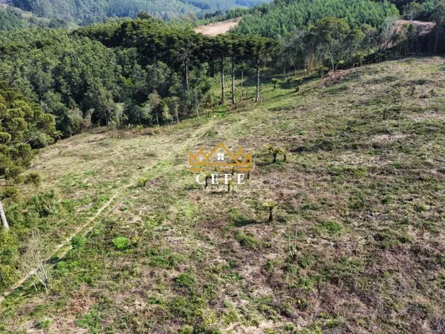 Imagem 14: Linda área de terra em Gramado/RS