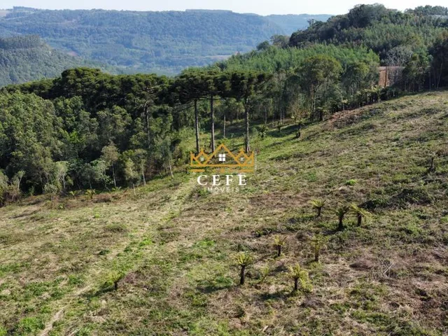 Imagem 15: Linda área de terra em Gramado/RS