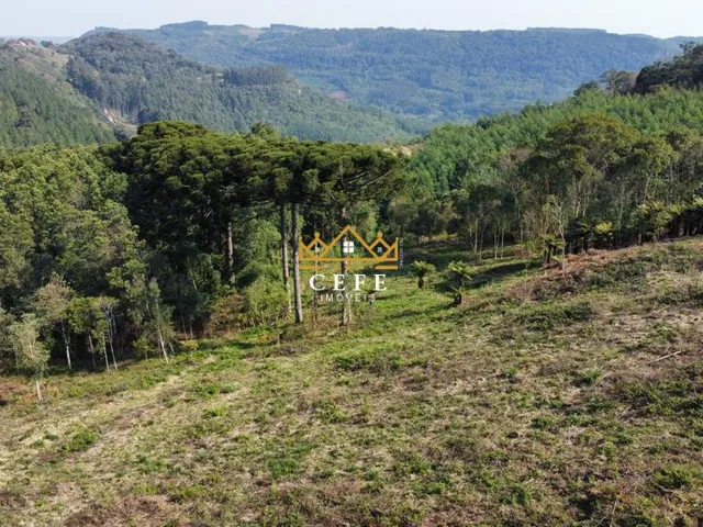 Imagem 16: Linda área de terra em Gramado/RS