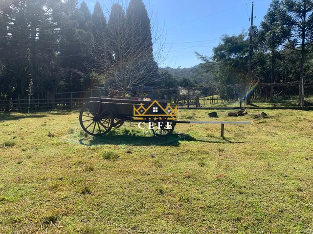 Imagem: Sítio em Gramado Encante-se com essa propriedade