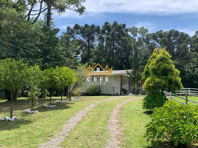 Imagem 2: Sítio em Gramado: Encante-se com essa propriedade na Linha Tapera!